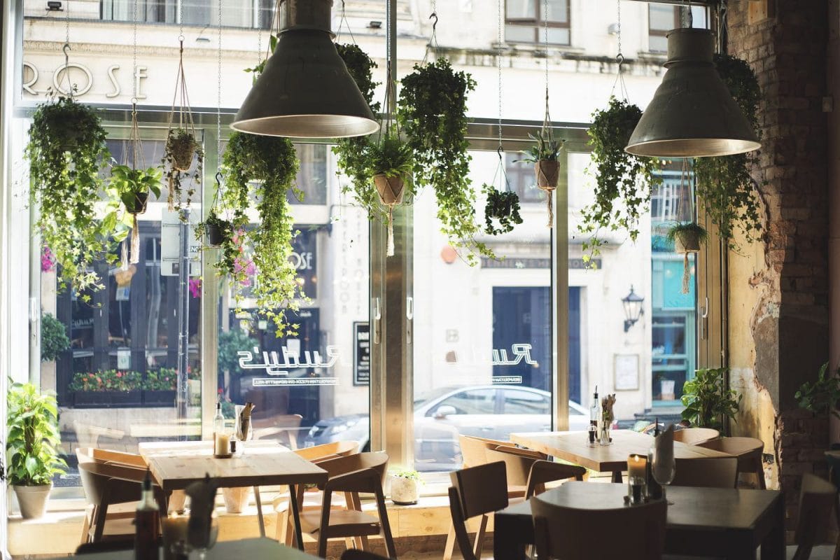 window of rudy's pizzeria with plants